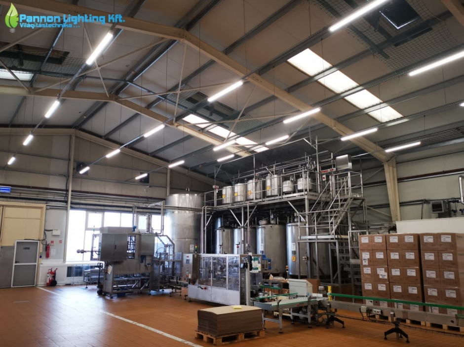 Industrial lighting modernisation at vegetable oil producer Bunge Zrt.